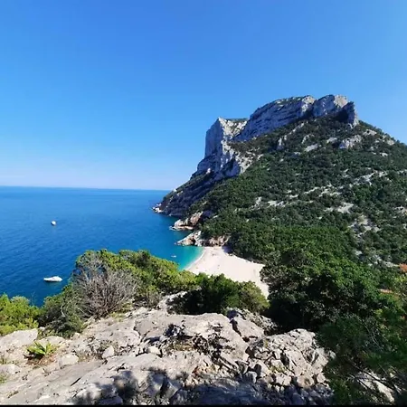 Oleandro * Cala Gonone