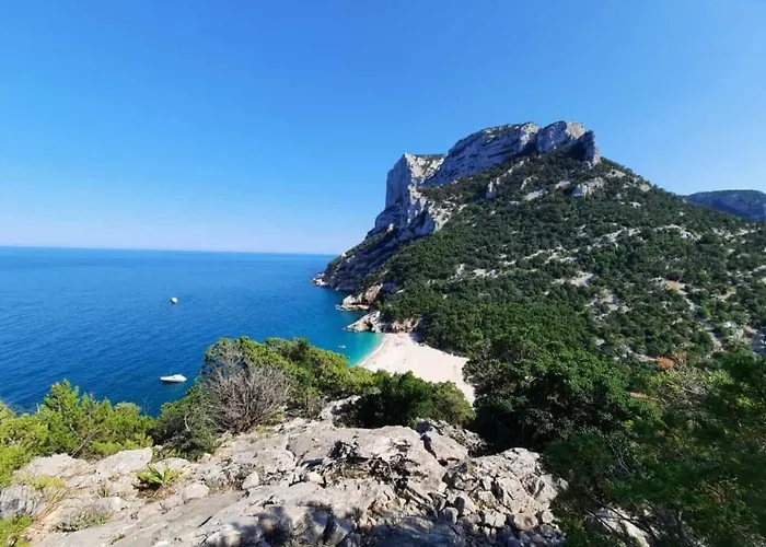 Oleandro * Cala Gonone