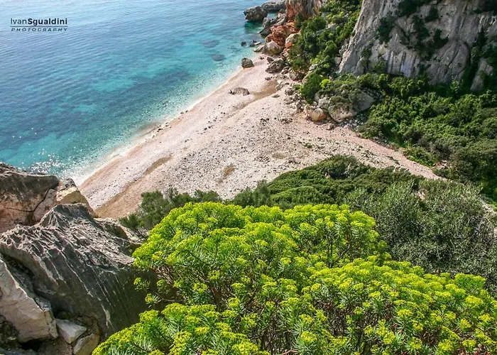 Oleandro Appartement